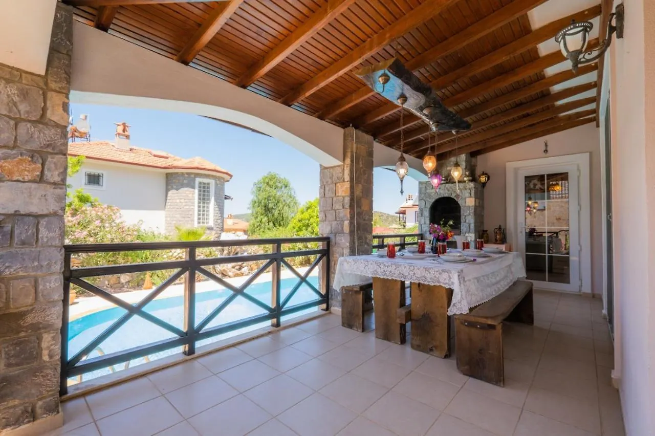 Infinity Flora Villa فتحية 0*,