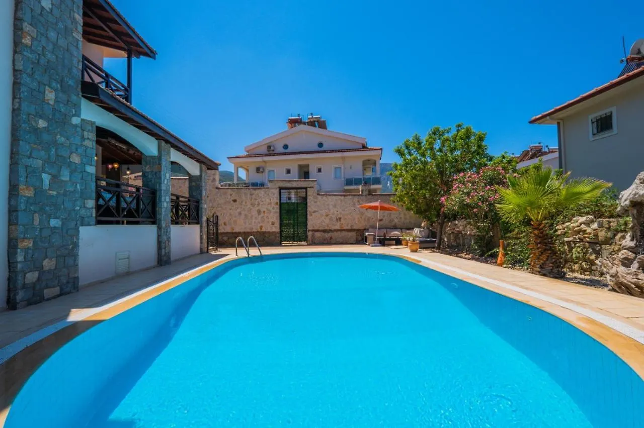 Infinity Flora Villa فتحية 0*,